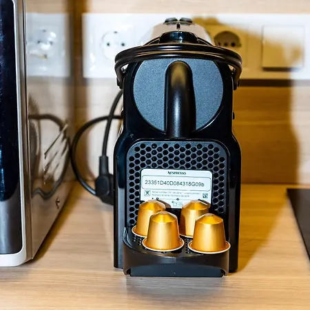 Monstera * בודפשט